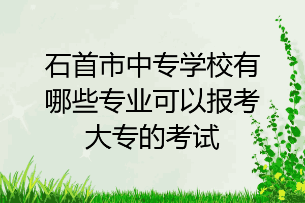 石首市中专学校有哪些专业可以报考大专的考试