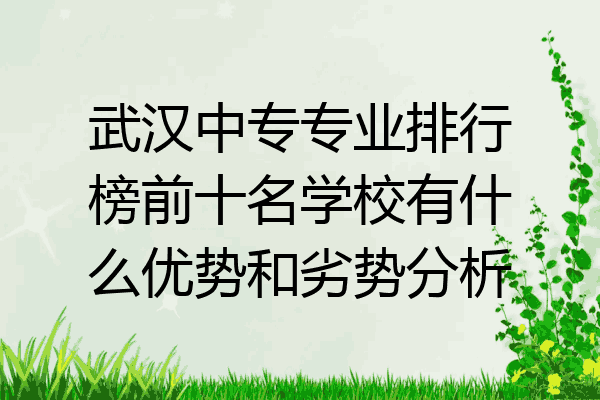 武汉中专专业排行榜前十名学校有什么优势和劣势分析