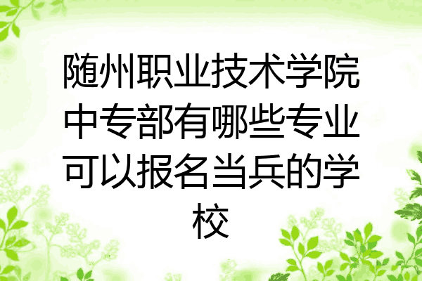 随州职业技术学院中专部有哪些专业可以报名当兵的学校