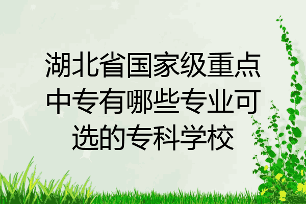 湖北省国家级重点中专有哪些专业可选的专科学校