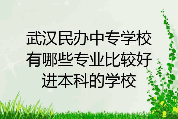 武汉民办中专学校有哪些专业比较好进本科的学校