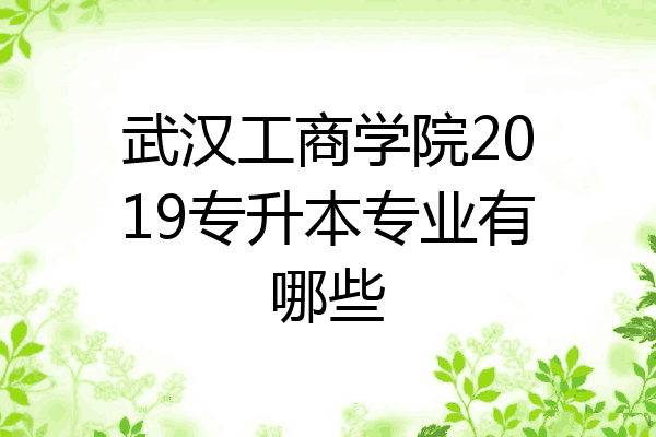 武汉工商学院2019专升本专业有哪些