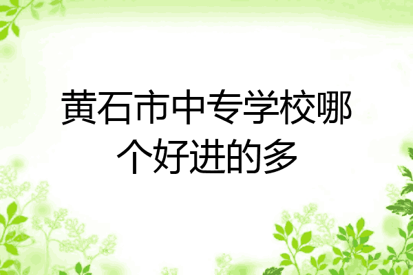 黄石市中专学校哪个好进的多