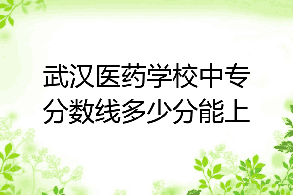 武汉医药学校中专分数线多少分能上