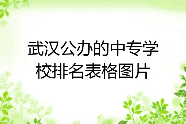 武汉公办的中专学校排名表格图片