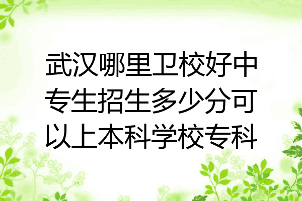 武汉哪里卫校好中专生招生多少分可以上本科学校专科