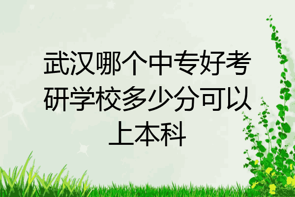 武汉哪个中专好考研学校多少分可以上本科