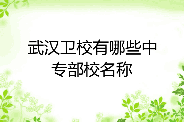 武汉卫校有哪些中专部校名称
