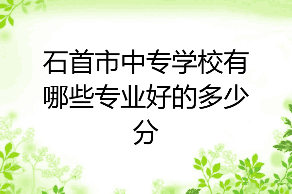 石首市中专学校有哪些专业好的多少分