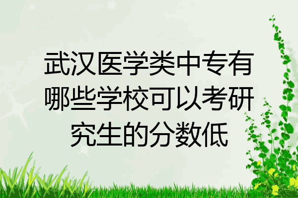 武汉医学类中专有哪些学校可以考研究生的分数低