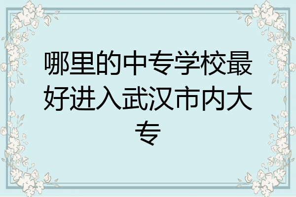 哪里的中专学校最好进入武汉市内大专