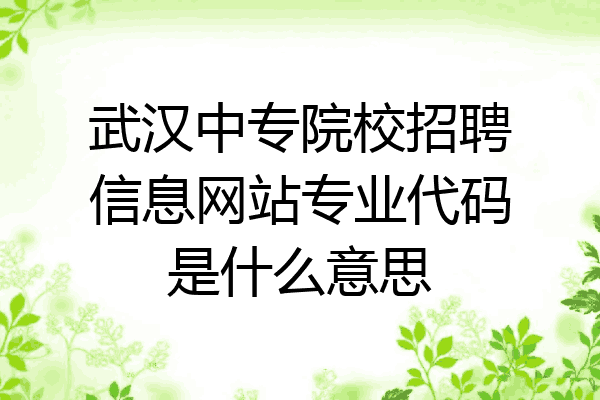 武汉中专院校招聘信息网站专业代码是什么意思