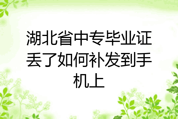 湖北省中专毕业证丢了如何补发到手机上