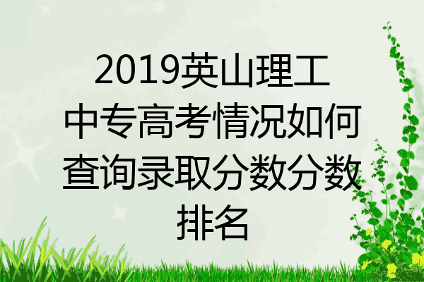 2019英山理工中专高考情况如何查询录取分数分数排名