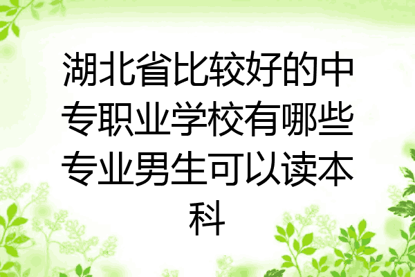 湖北省比较好的中专职业学校有哪些专业男生可以读本科