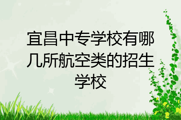 宜昌中专学校有哪几所航空类的招生学校