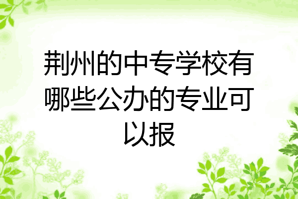 荆州的中专学校有哪些公办的专业可以报