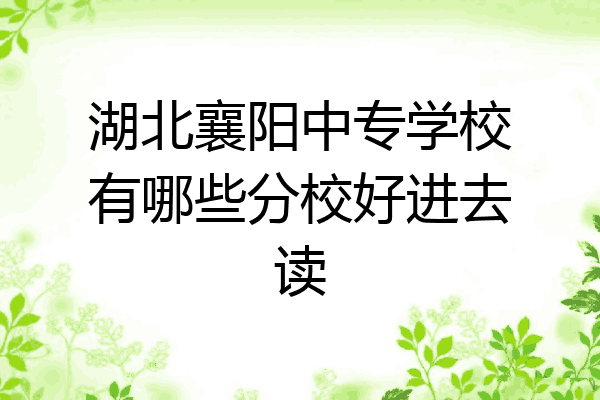 湖北襄阳中专学校有哪些分校好进去读
