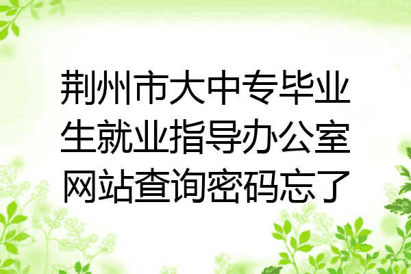 荆州市大中专毕业生就业指导办公室网站查询密码忘了