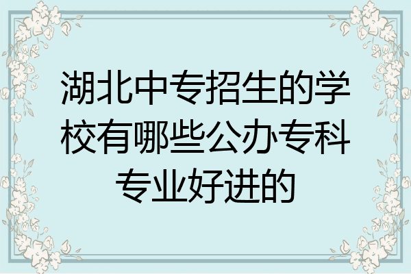 湖北中专招生的学校有哪些公办专科专业好进的