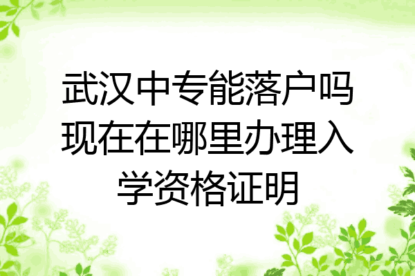 武汉中专能落户吗现在在哪里办理入学资格证明