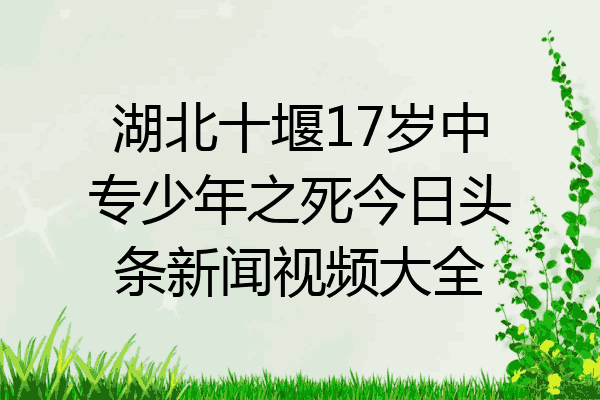 湖北十堰17岁中专少年之死今日头条新闻视频大全