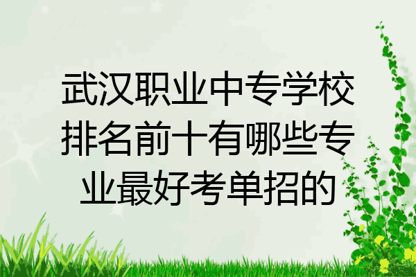 武汉职业中专学校排名前十有哪些专业最好考单招的