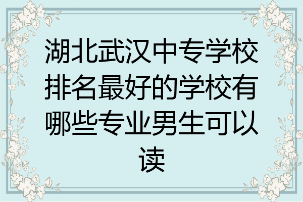 湖北武汉中专学校排名最好的学校有哪些专业男生可以读