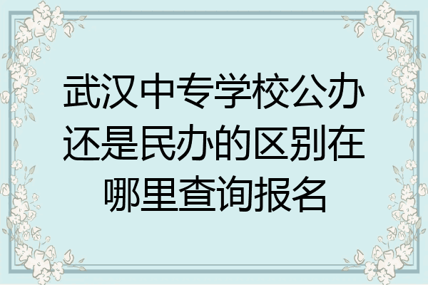 武汉中专学校公办还是民办的区别在哪里查询报名