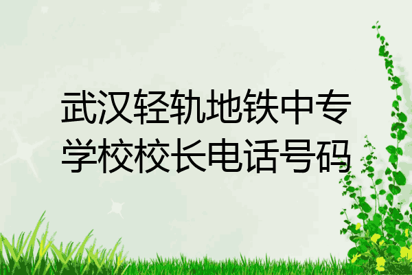 武汉轻轨地铁中专学校校长电话号码