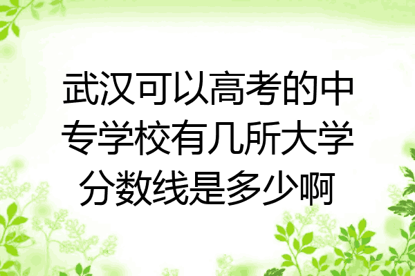 武汉可以高考的中专学校有几所大学分数线是多少啊