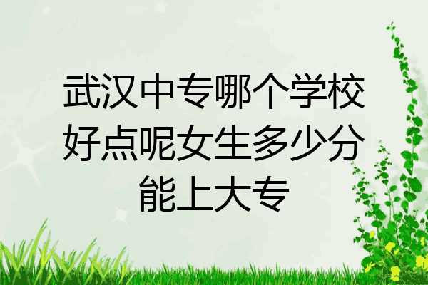 武汉中专哪个学校好点呢女生多少分能上大专