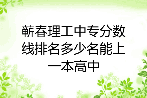 蕲春理工中专分数线排名多少名能上一本高中