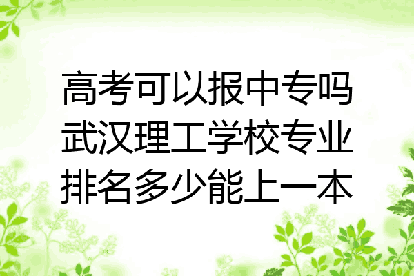 高考可以报中专吗武汉理工学校专业排名多少能上一本