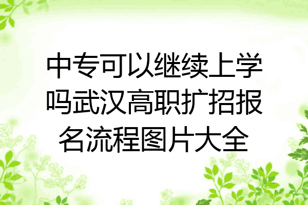 中专可以继续上学吗武汉高职扩招报名流程图片大全