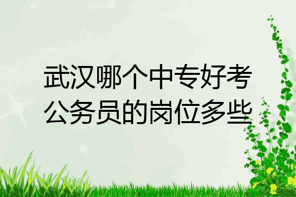 武汉哪个中专好考公务员的岗位多些