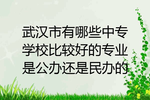 武汉市有哪些中专学校比较好的专业是公办还是民办的
