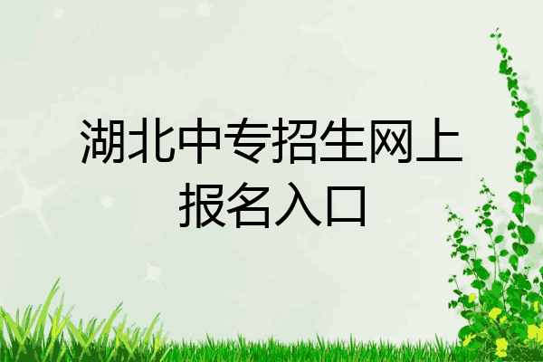 湖北中专招生网上报名入口