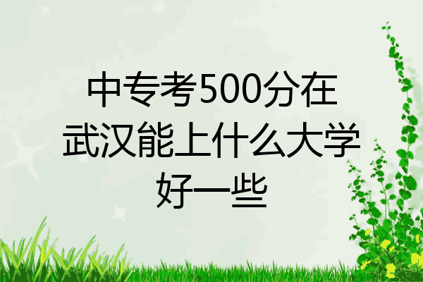 中专考500分在武汉能上什么大学好一些