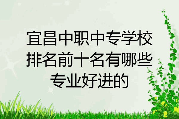 宜昌中职中专学校排名前十名有哪些专业好进的