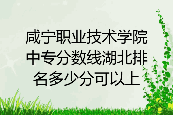咸宁职业技术学院中专分数线湖北排名多少分可以上