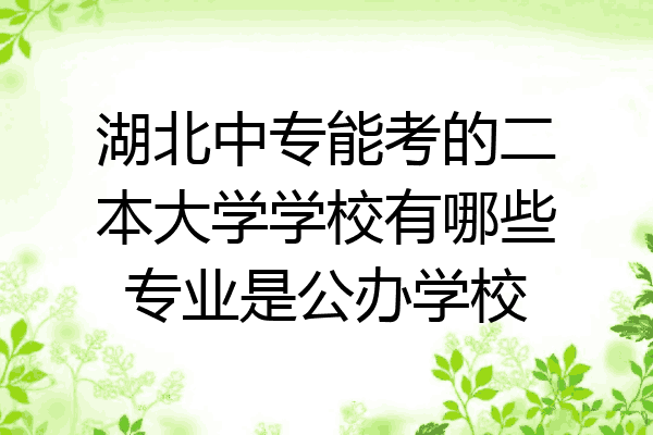 湖北中专能考的二本大学学校有哪些专业是公办学校