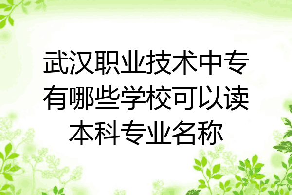 武汉职业技术中专有哪些学校可以读本科专业名称