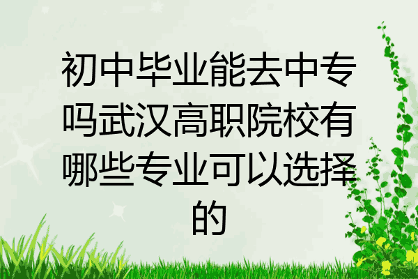初中毕业能去中专吗武汉高职院校有哪些专业可以选择的
