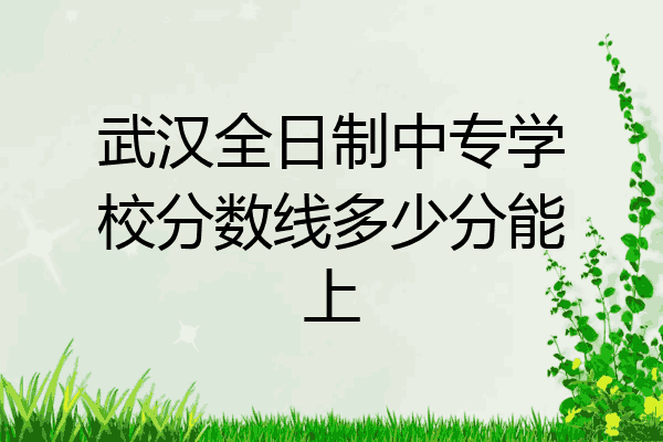 武汉全日制中专学校分数线多少分能上