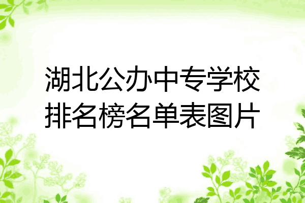 湖北公办中专学校排名榜名单表图片