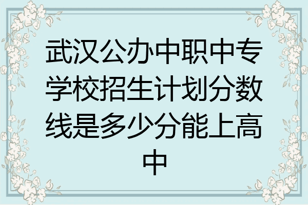 武汉公办中职中专学校招生计划分数线是多少分能上高中