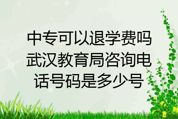 中专可以退学费吗武汉教育局咨询电话号码是多少号