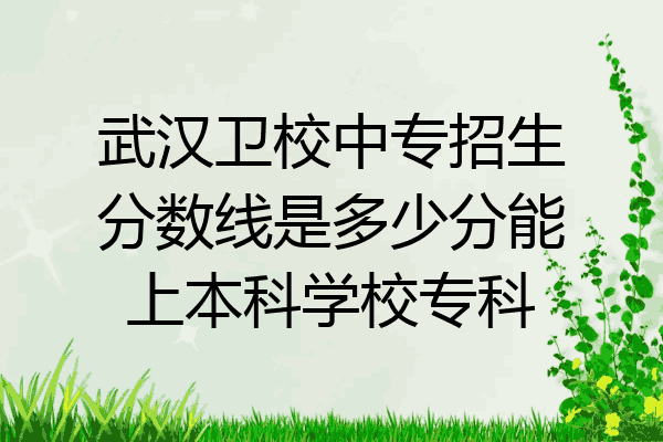 武汉卫校中专招生分数线是多少分能上本科学校专科