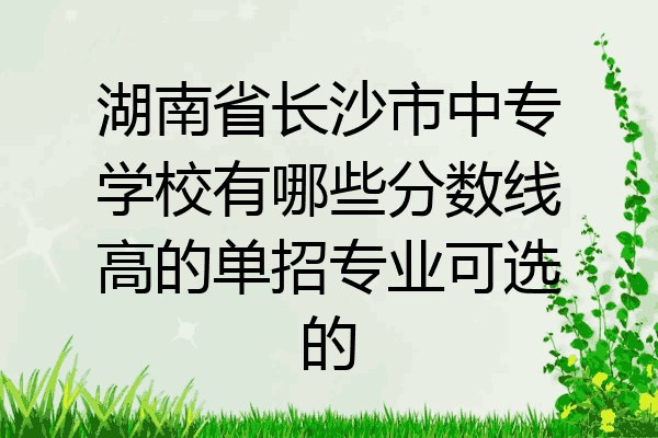 湖南省长沙市中专学校有哪些分数线高的单招专业可选的